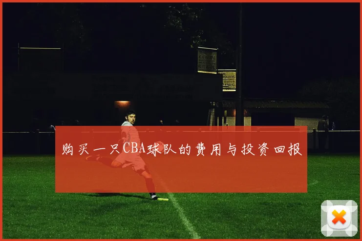 购买一只CBA球队的费用与投资回报